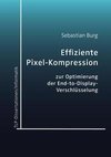 Effiziente Pixel-Kompression zur Optimierung der End-to-Display-Verschlüsselung