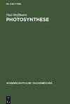 Photosynthese