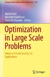 Optimization in Large Scale Problems