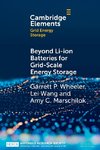 Beyond Li-ion Batteries for Grid-Scale Energy Storage