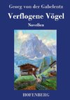 Verflogene Vögel