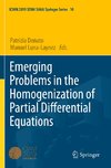 Emerging Problems in the Homogenization of Partial Differential Equations