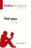 Petit pays de Gael Faye (Analyse de l'oeuvre)