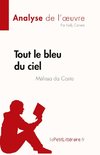 Tout le bleu du ciel de Mélissa da Costa (Analyse de l'oeuvre)