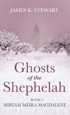 Ghosts of the Shephelah, Book 2