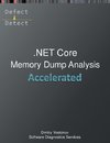 Accelerated .NET Core Memory Dump Analysis