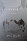 Camels in Texas