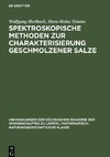 Spektroskopische Methoden zur Charakterisierung geschmolzener Salze