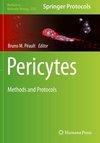 Pericytes