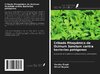 Cribado fitoquímico de Ocimum Sanctum contra bacterias patógenas