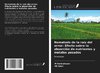 Nematodo de la raíz del arroz: Efecto sobre la absorción de nutrientes y metales pesados