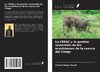 La CEEAC y la gestión sostenible de los ecosistemas de la cuenca del Congo