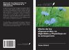 Efecto de los oligosacáridos no digeribles y PhytoSoya en la osteoporosis