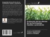 Evaluación de los efectos de los fertilizantes líquidos y granulares