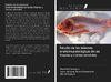 Estudio de las lesiones anatomopatológicas de las tilapias y clarias vendidas