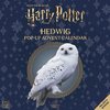 Harry Potter: Hedwig Pop-Up Advent Calendar