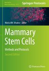 Mammary Stem Cells