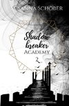 Shadowbreaker Academy 2