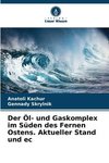 Der Öl- und Gaskomplex im Süden des Fernen Ostens. Aktueller Stand und ec