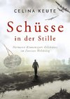 Schüsse in der Stille