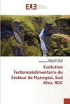 Evolution Tectonosédimentaire du Secteur de Nyangezi, Sud Kivu, RDC