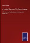 A practical Grammar of the Arabic Language