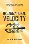 Organizational Velocity