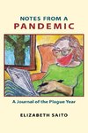 Notes from a Pandemic