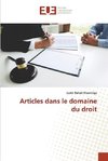 Articles dans le domaine du droit