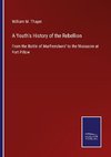 A Youth's History of the Rebellion