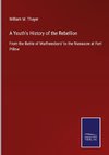 A Youth's History of the Rebellion