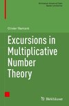 Excursions in Multiplicative Number Theory