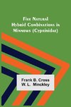 Five Natural Hybrid Combinations in Minnows (Cyprinidae)