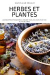 HERBES ET PLANTES