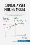 Capital Asset Pricing Model