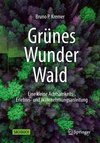 Grünes Wunder Wald