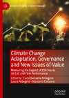 Climate Change Adaptation, Governance and New Issues of Value