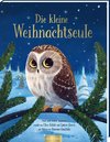 Die kleine Weihnachtseule