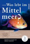 Was lebt im Mittelmeer?