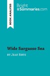 Wide Sargasso Sea by Jean Rhys (Book Analysis)