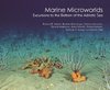 Marine Microworlds