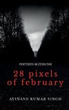 28 Pixels of February