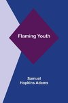 Flaming Youth