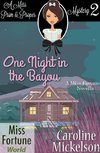 One Night in the Bayou