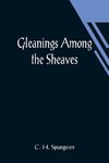 Gleanings among the Sheaves