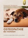 Osteopathie bei Hunden