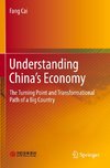 Understanding China's Economy