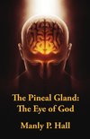 The Pineal Gland