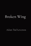 Broken Wing