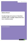 Ecophysiologie des graines d'Ailanthus altissima (Mill.) Swingle (Simaroubaceae) sous condition saline